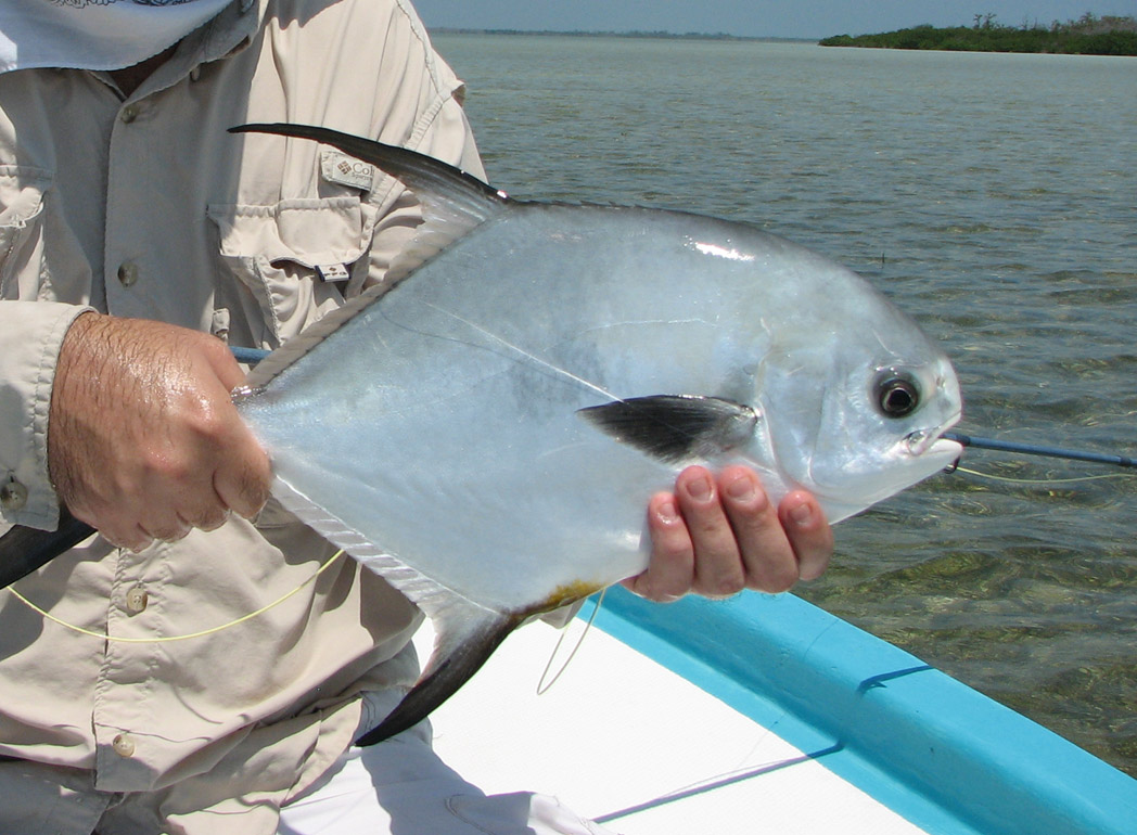 Permit fly fishing