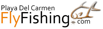 Fly Fishing Logo