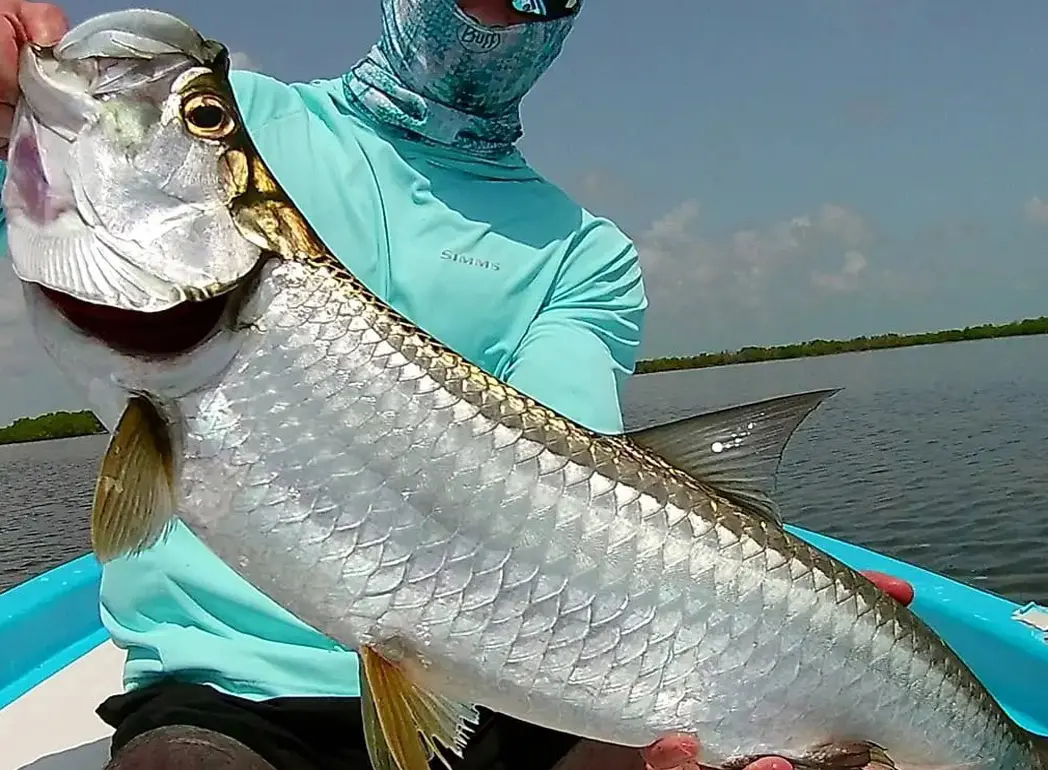 Tarpon Fishing Riviera Maya