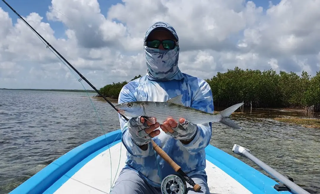 A nice Ascension Bay Bonefish